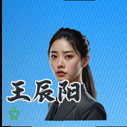 王辰阳
